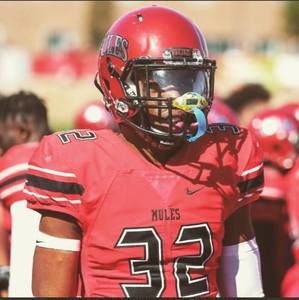 Meet your Posher, Jackson